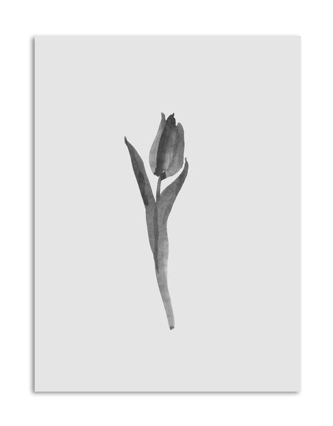 Melissa Selmin TULIP 8 ART PRINT 21x30cm